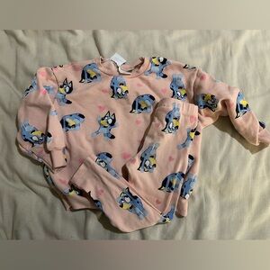 Zara Kids Pink and Blue Matching Set